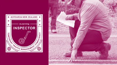Inspector: Theory and Practical Workshop